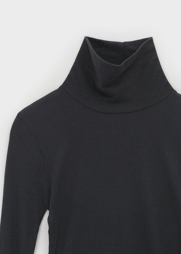 Longt Wool Warmer Turtleneck