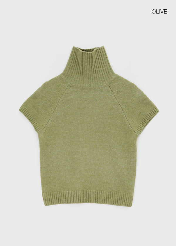 Nervik Turtleneckr Short Sleeve Knit