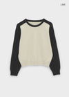 Snake color-block raglan knit