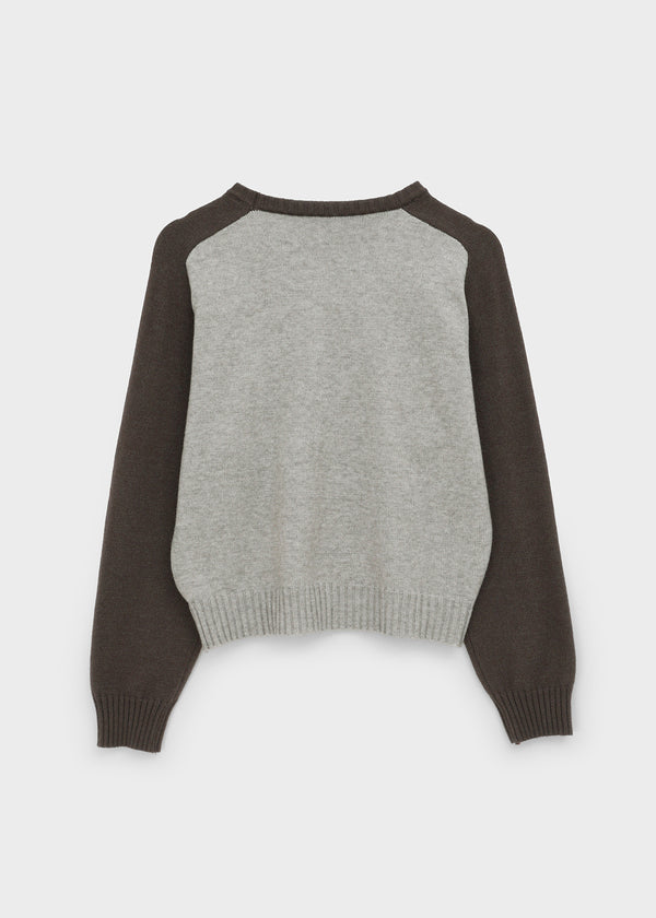 Snake color-block raglan knit