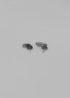 (SILVER 925) Scoring Simple Earrings