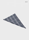 Posh Sheer Check Scarf
