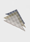 Posh Sheer Check Scarf