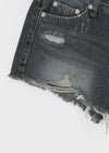 Garr Low Waist Damaged Denim Shorts