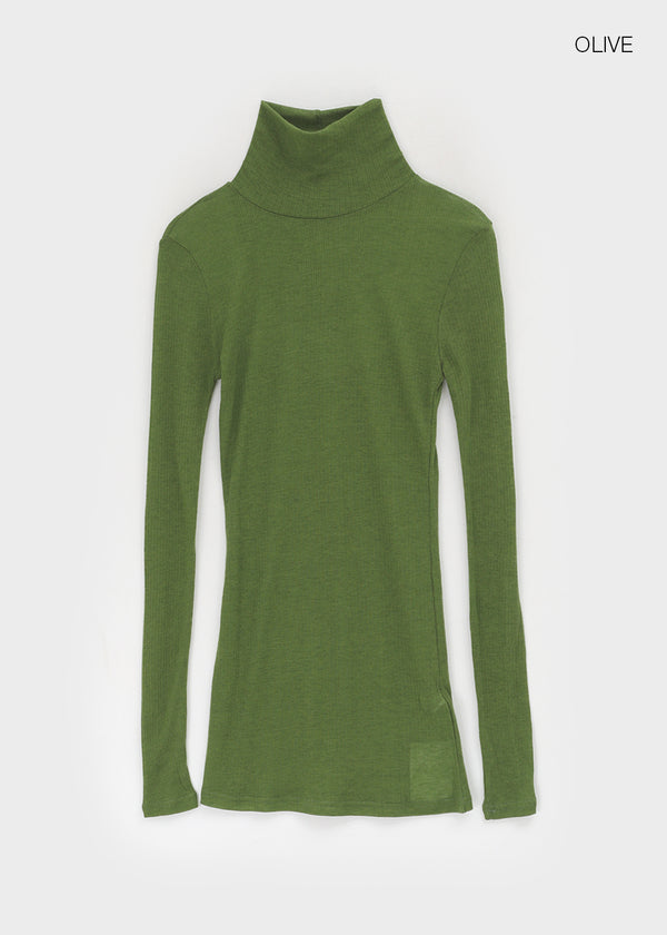 Longt Wool Warmer Turtleneck