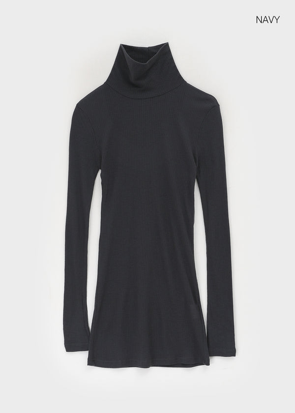 Longt Wool Warmer Turtleneck