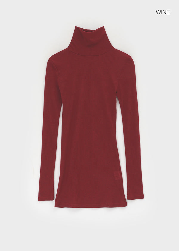 Longt Wool Warmer Turtleneck