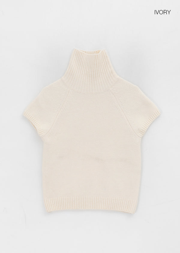 Nervik Turtleneckr Short Sleeve Knit