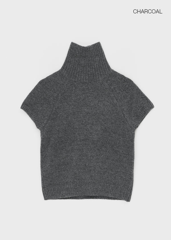 Nervik Turtleneckr Short Sleeve Knit