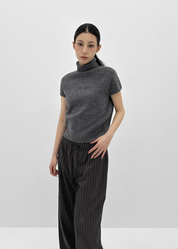 Nervik Turtleneckr Short Sleeve Knit
