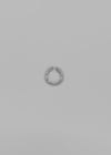 (SILVER 925) Ringkop Circle Open Ring
