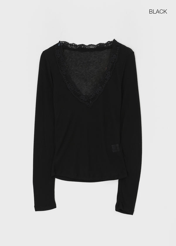 V-All Lace Deep V-Neck Long Sleeve Tee
