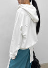 Hoshi Damaged Zip-up Hoodie