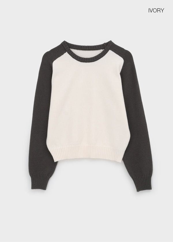 Snake color-block raglan knit