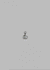 (SILVER 925) Tennang Pebble Piercing
